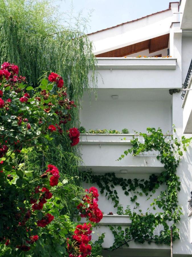 Guest House Barbov Obzor Ngoại thất bức ảnh