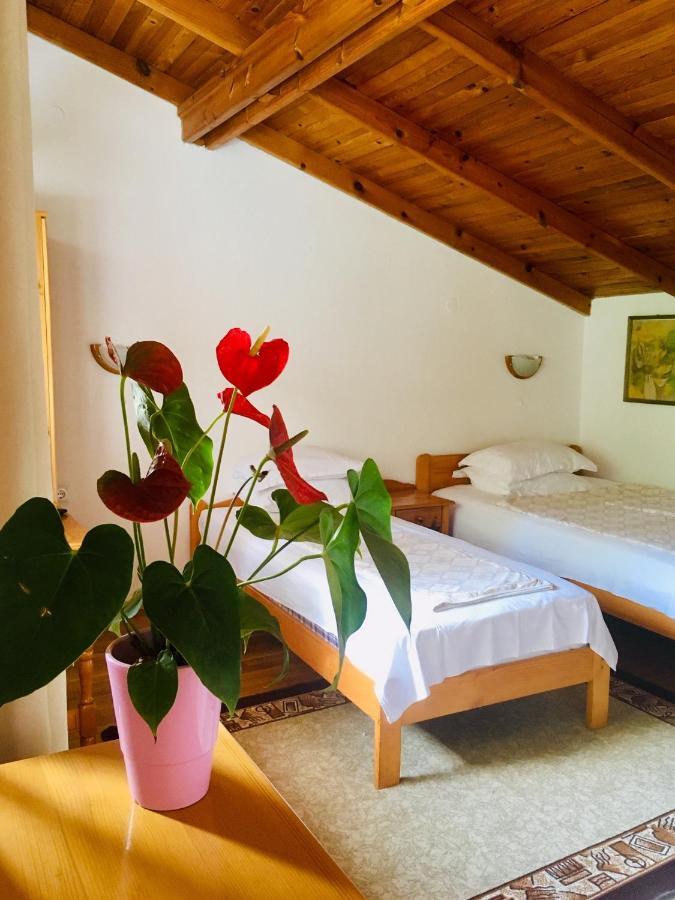 Guest House Barbov Obzor Ngoại thất bức ảnh